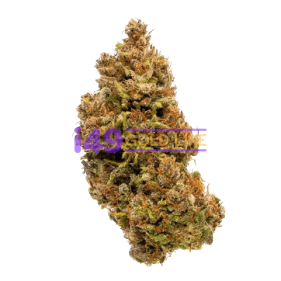 kusher Cake F1 Kusher cake Auto - Image 1